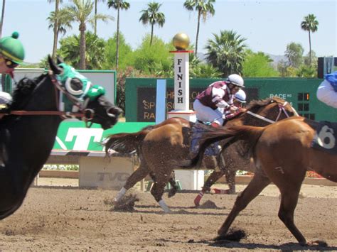 turf paradise live results.